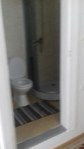 a bathroom with a white toilet and a shower at Gelena Гостьовий двір in Uzhhorod