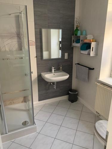 a bathroom with a sink and a shower at Pension Triebischtal in Meißen
