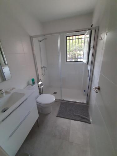 a bathroom with a shower and a toilet and a sink at Casa Les Buganvilles in Deltebre