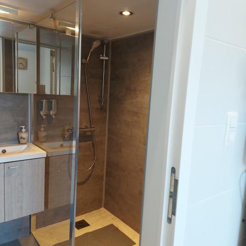 a bathroom with a shower and a sink at Smaal apartment Beti in Oostkamp