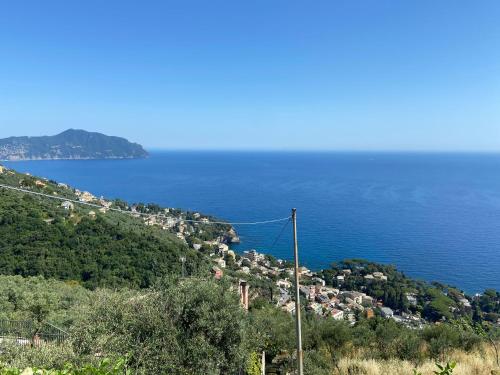 Fotografie z fotogalerie ubytování Casa DA LIRA v destinaci San Bernardo
