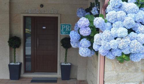a bunch of blue flowers in front of a door at Hostal Solymar in Louro