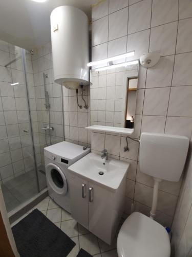 ein Bad mit einem WC, einem Waschbecken und einer Dusche in der Unterkunft RAILWAY STATION CITY MODERN APARTMENT in Maribor