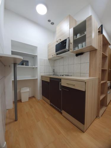 eine kleine Küche mit einer Spüle und einer Mikrowelle in der Unterkunft RAILWAY STATION CITY MODERN APARTMENT in Maribor