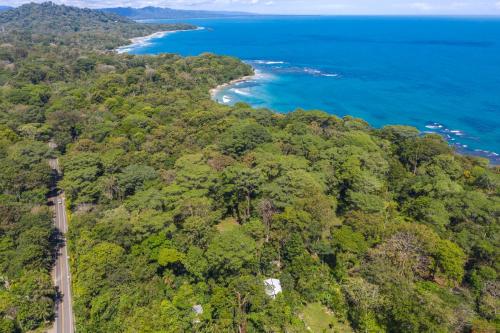 an aerial view of a forested island with a road and the ocean at MINI UP! Acogedora casita para 2 personas con AC in Cocles