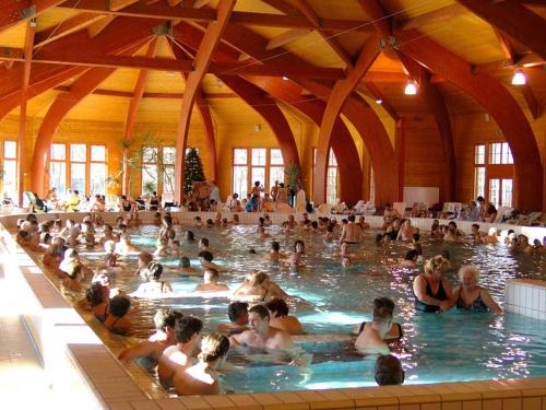 a large group of people in a swimming pool at Holiday home in Gardony - Velence-See 20604 in Gárdony