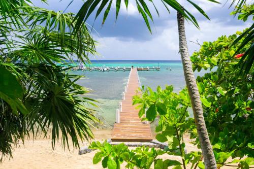 a wooden bridge over the ocean with palm trees at Lawson Rock - Angelfish 100 Condo in Sandy Bay