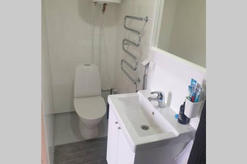 a bathroom with a sink and a toilet and a mirror at Hólmasel Riverside Cabin 1 in Arabaer