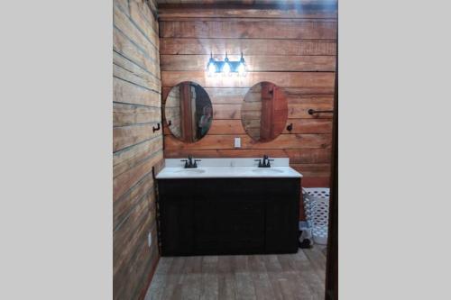 a bathroom with a sink and a wooden wall at Hoot Nanny's Rustic Cabin on Mossy Creek in Cleveland