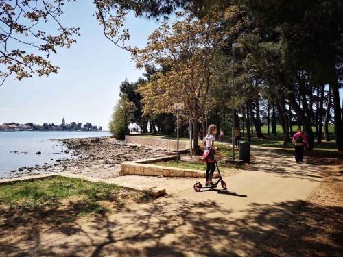 Apartments in Krk - Insel Krk 26807