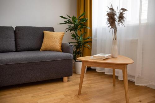 a living room with a couch and a table at Residential Barona Apartments in Riga Centre in Rīga