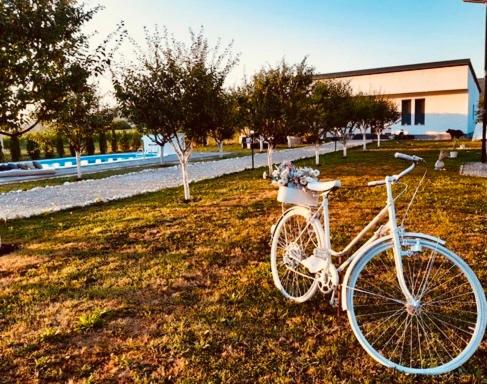 Una bicicleta blanca estacionada en el césped en un campo en Villa Una Dalia, en Bihać