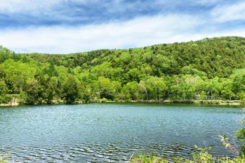 a lake in the middle of a forest at Villa Alpen in Yamanouchi