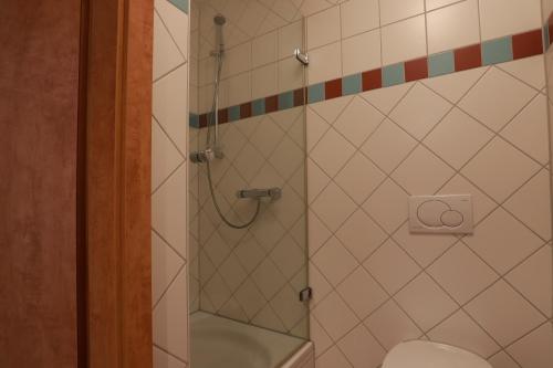a shower in a bathroom with a toilet at Hofgut Langenborn Wohnen auf Zeit möblierte Apartments Aschaffenburg Alzenau Frankfurt in Schöllkrippen