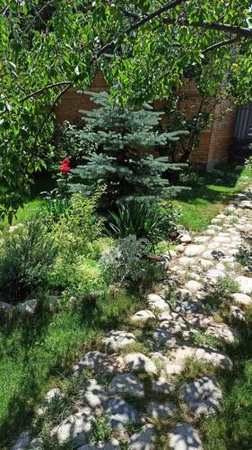 a small pine tree in the middle of a garden at Evergreen Guesthouse in Karakol