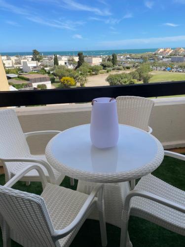 SHOWTIME NATURISTE PORT NATURE 6 parking privé clim ascenseur vue mer