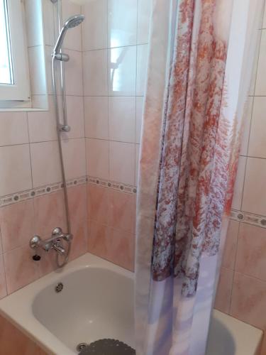 Koupelna v ubytování Apartman Alberta