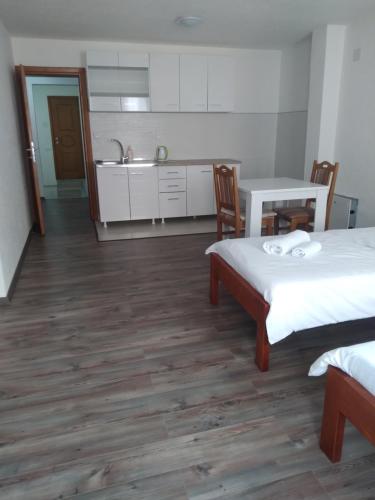 Kuchyň nebo kuchyňský kout v ubytování Guest house Erdan