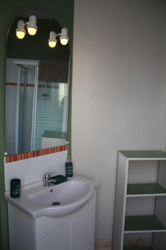 uma casa de banho com um lavatório branco e um espelho. em CALODURUM 2 em Chilleurs-aux-Bois