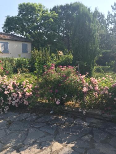 a garden with pink flowers in a yard at Studio privé in Cazilhac