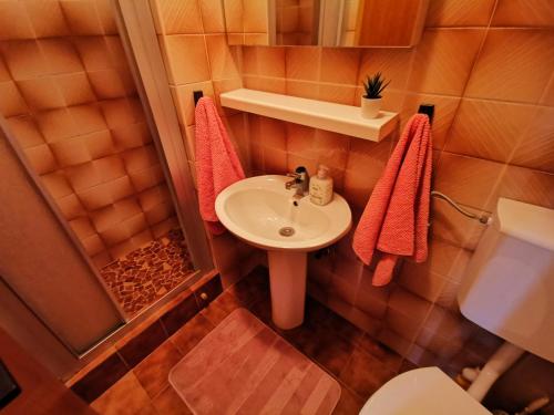 a small bathroom with a sink and a shower at EDITA 2 pax in Crikvenica