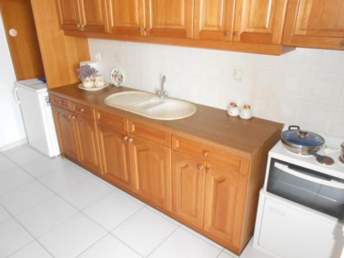 a kitchen with wooden cabinets and a sink and a stove at Chrysolithos Kerami Apartments in Khalkíon
