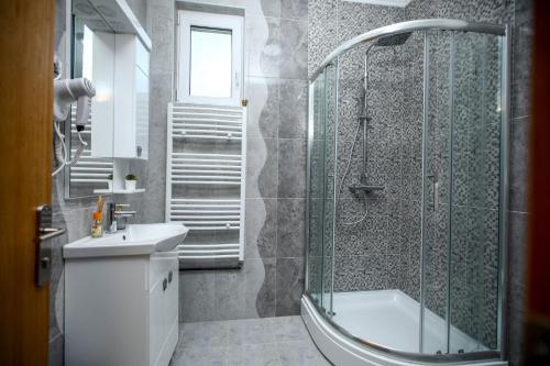 een badkamer met een douche, een toilet en een wastafel bij Dunavski Cvet in Banatska Palanka