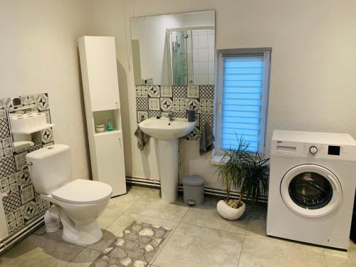 a bathroom with a toilet sink and a washing machine at Apartament Rodzinny z ogrodem in Cieszyn