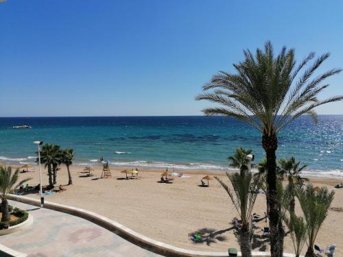 a beach with a palm tree and the ocean at Edificio Calpemar in Calpe