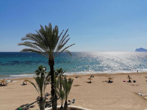 a beach with a palm tree and people on it at Edificio Calpemar in Calpe
