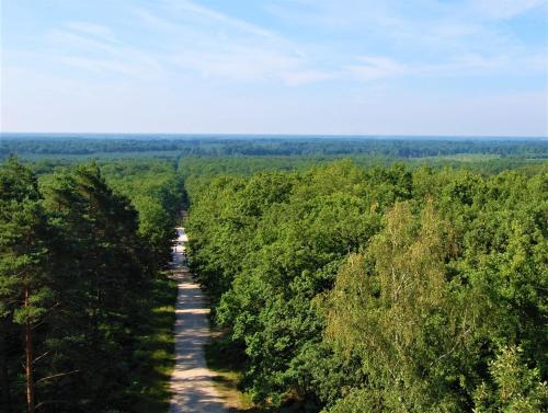 uma vista superior de uma estrada através de uma floresta em CALODURUM 2 em Chilleurs-aux-Bois