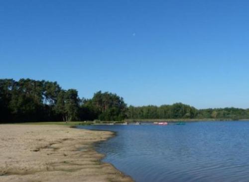 um corpo de água com árvores ao fundo em CALODURUM 2 em Chilleurs-aux-Bois