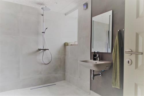 a bathroom with a sink and a shower with a mirror at Ferielejlighed i smukke omgivelser in Ørsted