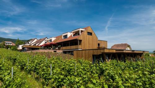a wooden house on top of a hill at James Vignoble Hôtel, Eguisheim in Eguisheim