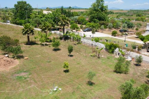 OLIVES Estate APARTMENTS Grande