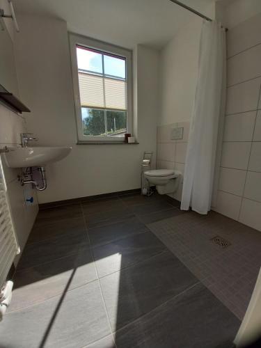 a bathroom with a toilet and a sink and a window at Alte Mühle in Holzminden