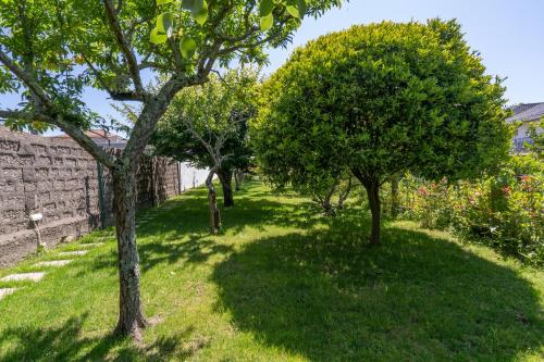 a garden with trees and grass and a wall at Terra & Mar - Land & Sea in Arcozelo