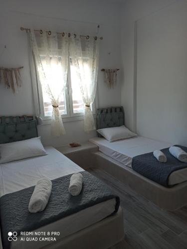 - 2 lits jumeaux dans une chambre avec fenêtre dans l'établissement Cactus Home, à Kalamaki