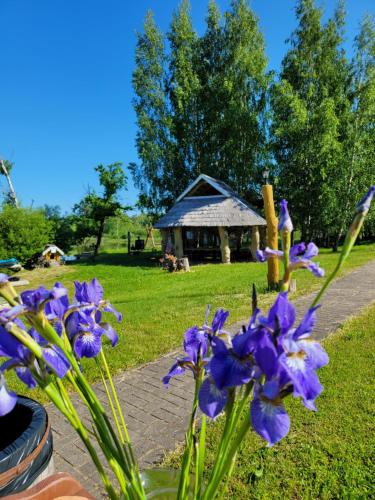 Gallery image of Miego klinika 2 -POILSIUI be triukšmo visą parą in Kelmė