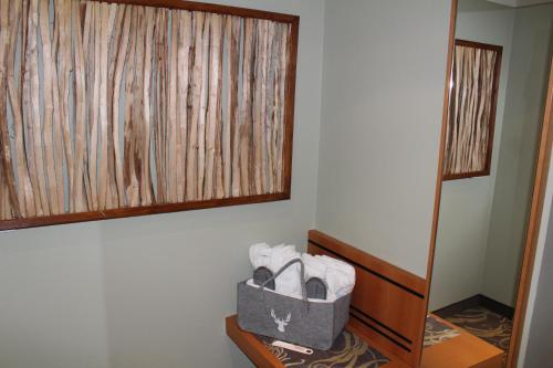 a room with a mirror and a bag on a shelf at Hotel Rennsteig in Masserberg