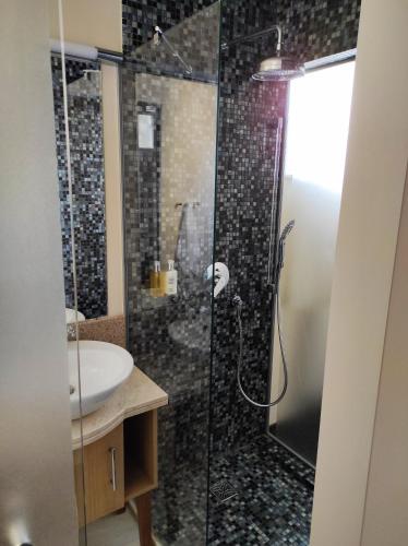 a bathroom with a shower and a sink at Robi Studio in Braşov