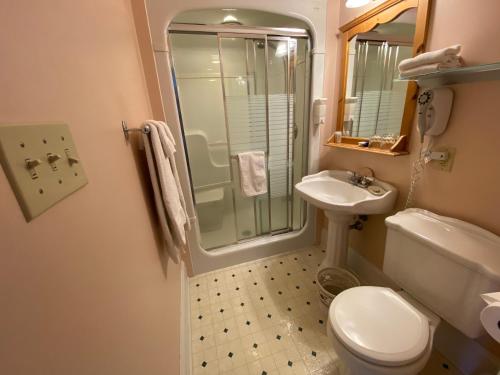a bathroom with a shower and a toilet and a sink at Bernard Gray Hall Bed and Breakfast in Niagara-on-the-Lake