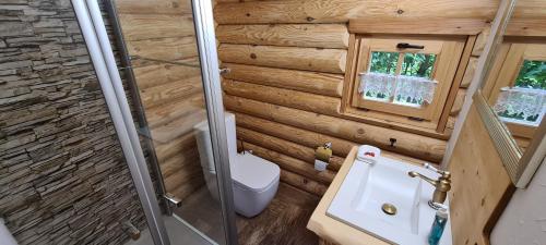 Vonios kambarys apgyvendinimo įstaigoje Chalet am See