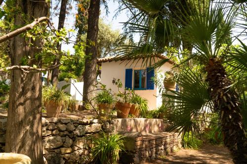 a house with a blue window and palm trees at Villaggio Placido in Taormina