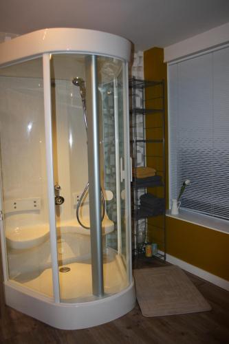 a bathroom with a shower and a bath tub at The Water Studio in Amsterdam