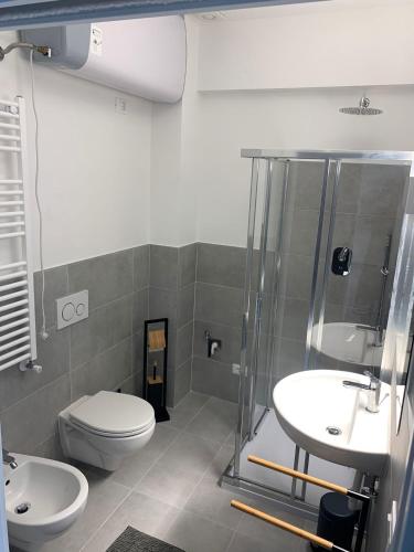 a bathroom with a toilet and a shower and a sink at Alps Apartments Viktory in Bolzano