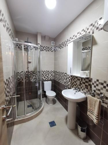 a bathroom with a shower and a toilet and a sink at Holiday Home Kalicanin in Bar