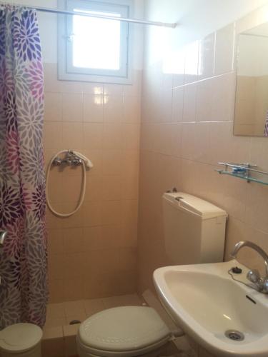 ein Bad mit einem WC und einem Waschbecken in der Unterkunft Dimitra Hotel in Loutra Edipsou