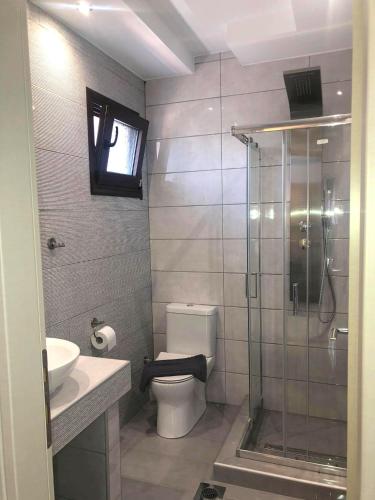 a bathroom with a toilet and a glass shower at Zillis Apartments in Kato Loutraki