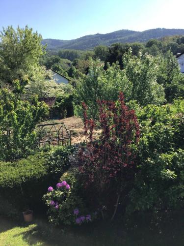 a garden with flowers and trees in the background at Ferienwohnung Panoramablick in Rimbach